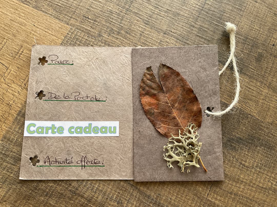 Carte cadeau 13 à offrir Bain de foret.