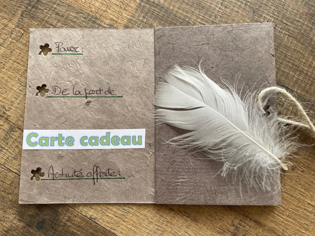 Carte cadeau 19 à offrir Bain de forêt.