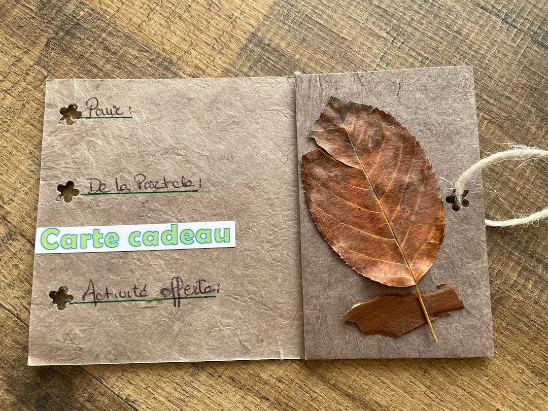 Carte cadeau 20 à offrir Bain de forêt.