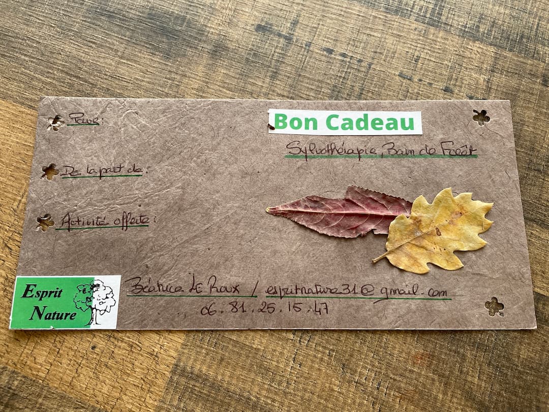 Carte cadeau 4 à offrir Bain de foret.