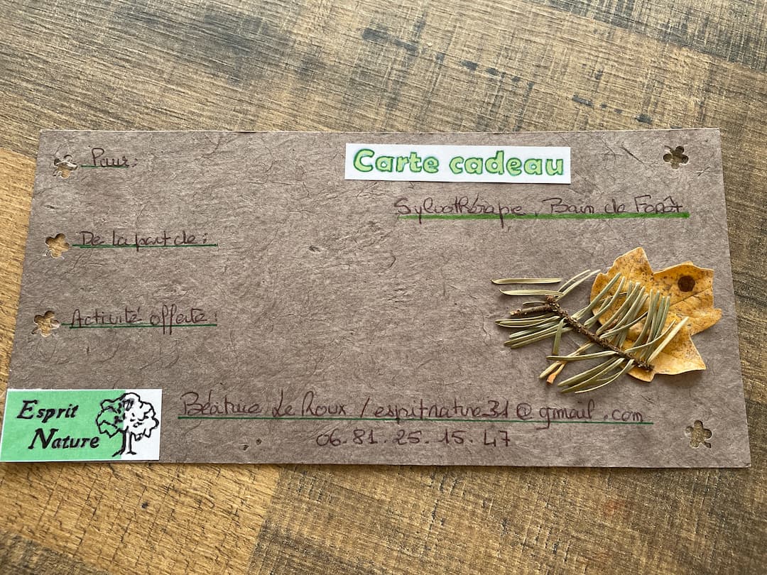 Carte cadeau 5 à offrir Bain de foret.