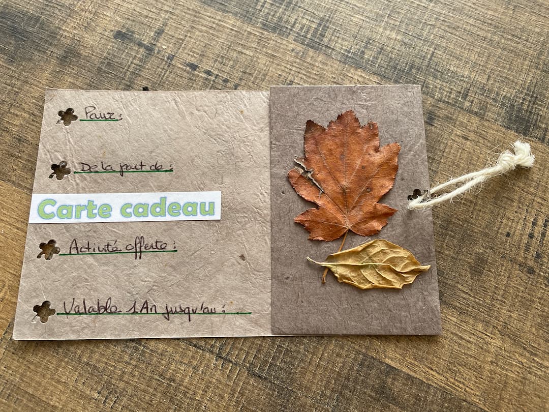 Carte cadeau 9 à offrir Bain de foret.