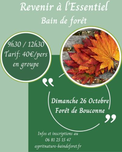 évènement Bain de foret 26 octobre forêt de bouconne