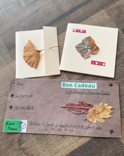 Cartes cadeaux soin énergétique, massages bien-être, bain de foret