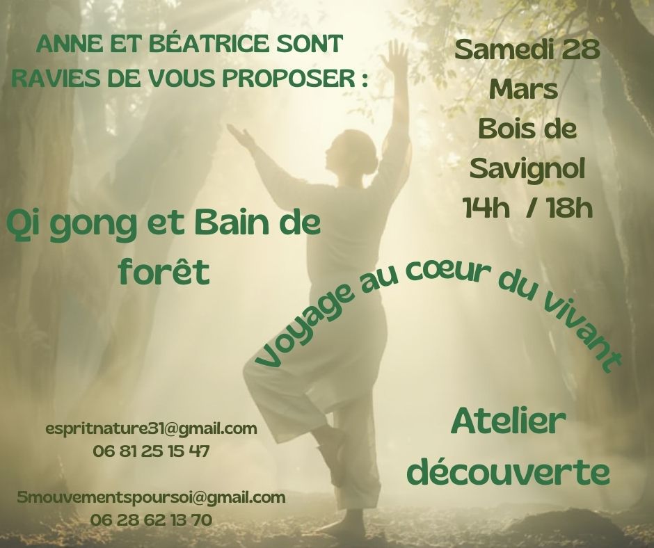Atelier découverte Bain de foret et Qi Gong