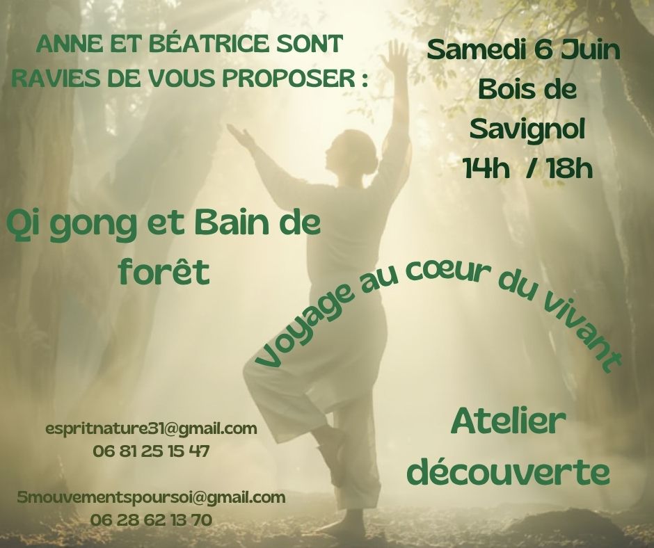 Bain de foret et qi gong bois de savignol