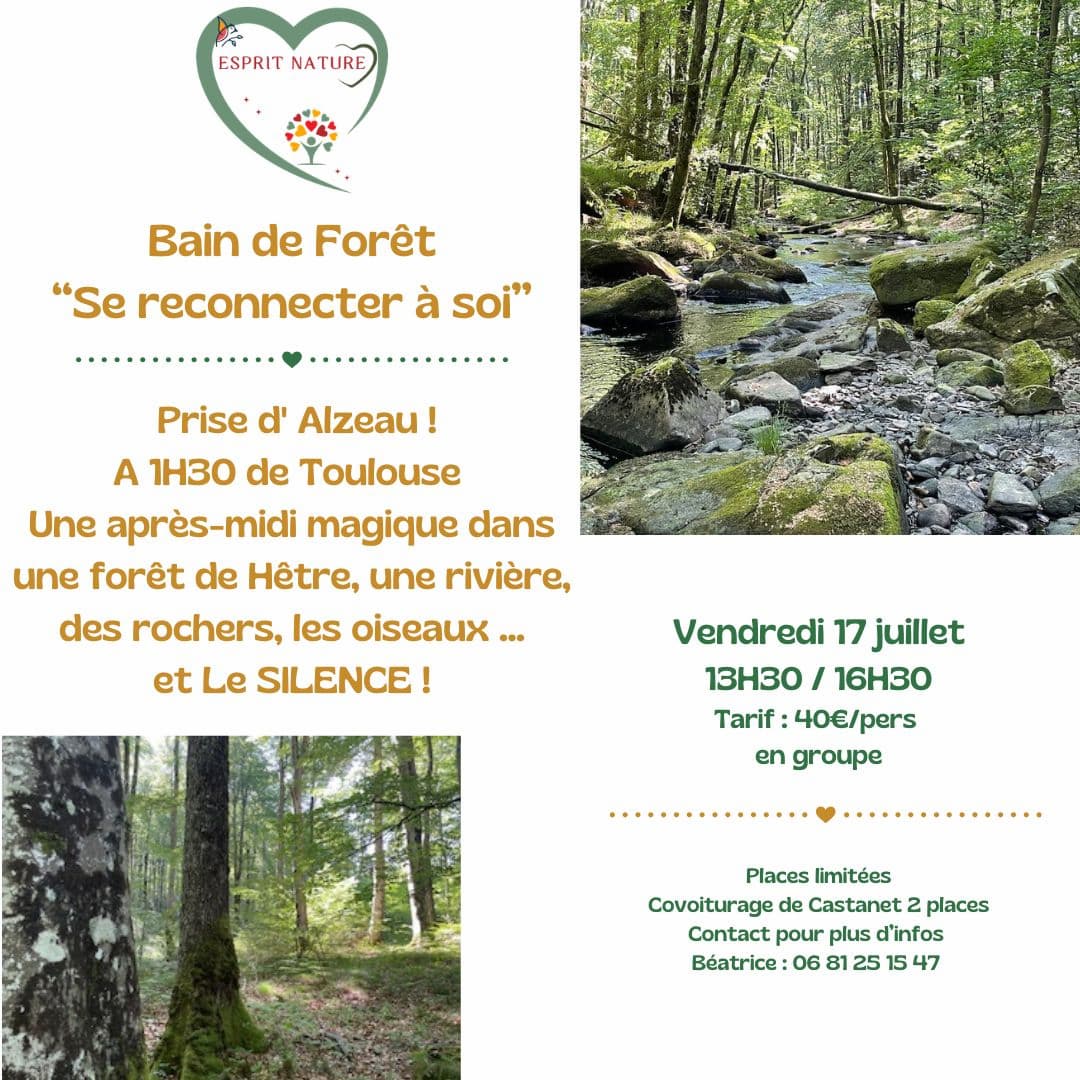 Bain de foret la prise d'alzeau
