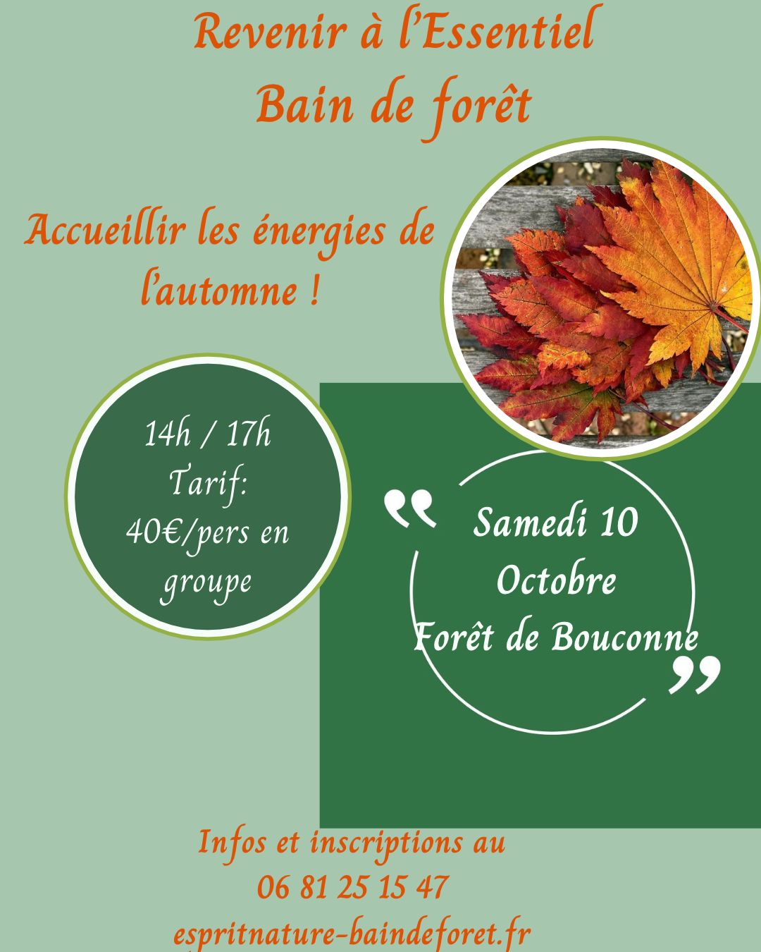 bain de foret 10 octobre foret de bouconne